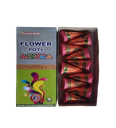 FlowerPots Asoka